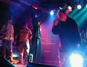 BSE, better at soccer than at playing music