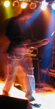 Nerveuze, a promising young band