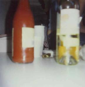 Mike Williams - Synopsis