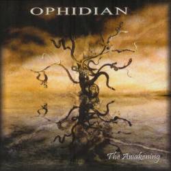The Awakening cover