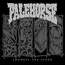 Amongst The Flock cover
