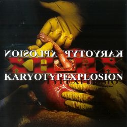 Karyotypexplosion cover