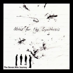 Notes For The Synthesis cover
