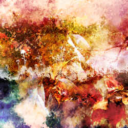 Nocturnals cover