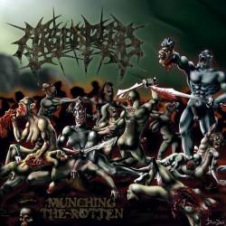 Arsebreed - Munching The Rotten