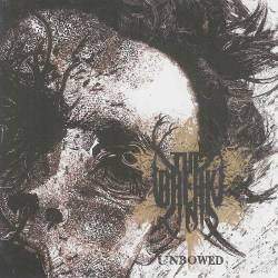 Break In - Unbowed