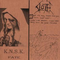 K.N.S.K. / Sloth - Split-7"