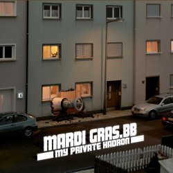 Mardi Gras.bb - My Private Hadron
