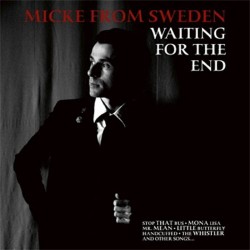 Micke From Sweden - Waiting For The End