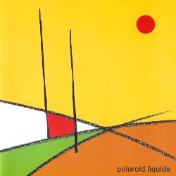 Polaroid Liquide - Polaroid Liquide
