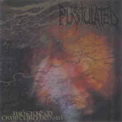 Pustulated - Inherited Cryptorchidism