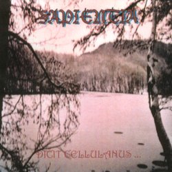 Sapientia - Dicit Cellulanus