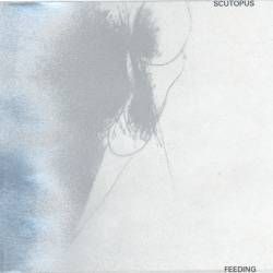 Scutopus - Feeding