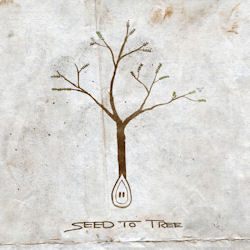 Seed To Tree - Seed To Tree