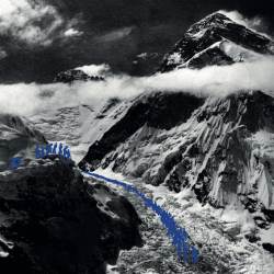 Comity - A Long, Eternal Fall