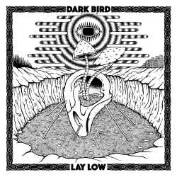 Dark Bird - Lay Low