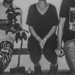 Pamplemousse - Pamplemousse