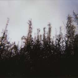 Sova Stroj - Nebula/Nox