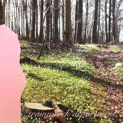 Trainwreck Department - No. 1