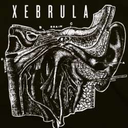 Xebrula - Demo 2015